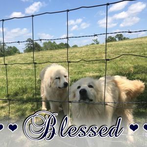 Meet your Posher, Vickie